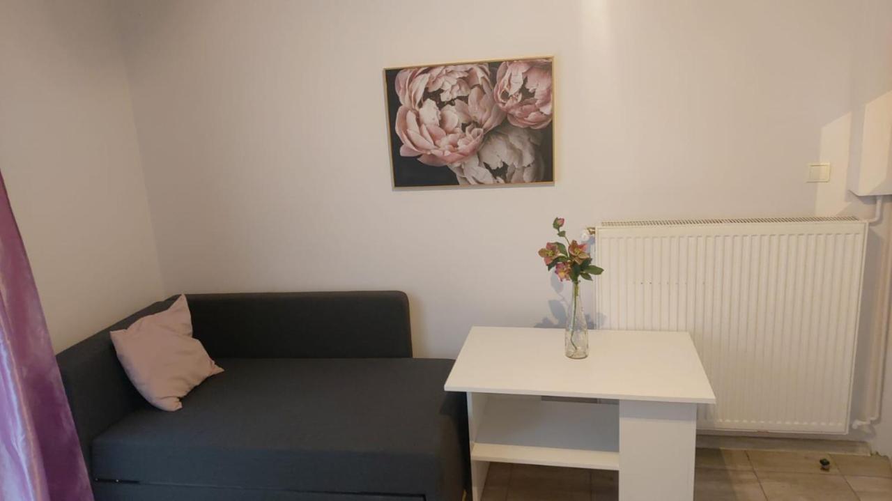 Apartamenty Grapa Szum Rzeki Parking Free Weichsel Exterior foto